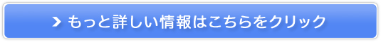 S̊i^J[\ȂyXJC`Pbg^J[z̔TCg